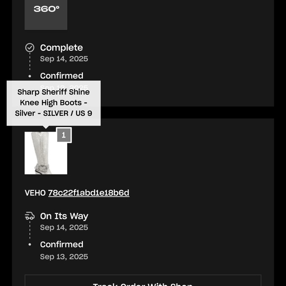 Dolls Kill Silver Rhinestone Boots - Picture 6 of 6